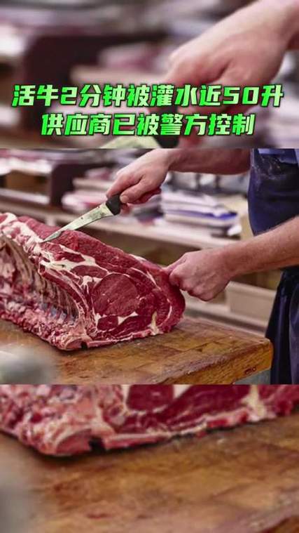 東莞調(diào)查取證公司-活牛被強(qiáng)行澆水，肉被賣到很多地方？東莞通報(bào)
